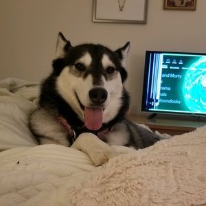 Meet your Posher, Annabell